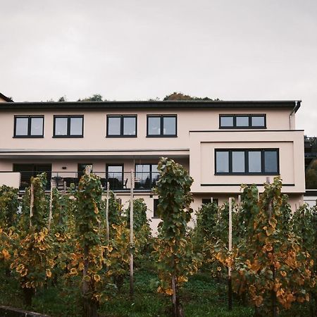 레일 Weingut Meurer 아파트 외부 사진