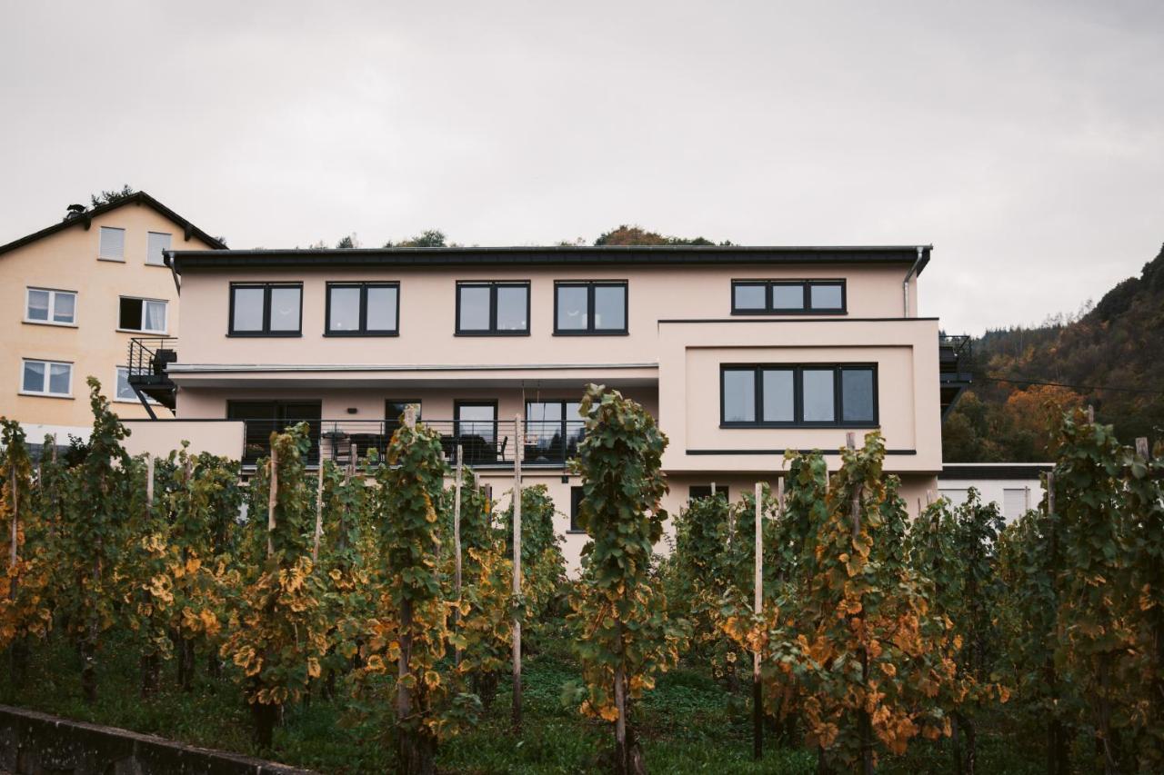 레일 Weingut Meurer 아파트 외부 사진